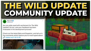 Minecraft 1.19 INFORMATION & COMMUNITY UPDATE | The Minecraft Wild Update