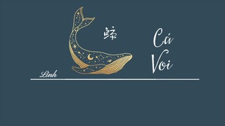 [Vietsub] Cá Voi • Chúc Nhất Khả ♪ 鲸 (Whale) • 祝一可