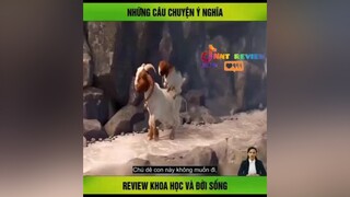 những câu chuyện ý nghĩa mereviewphim nnt_review nnt_review reviewphim