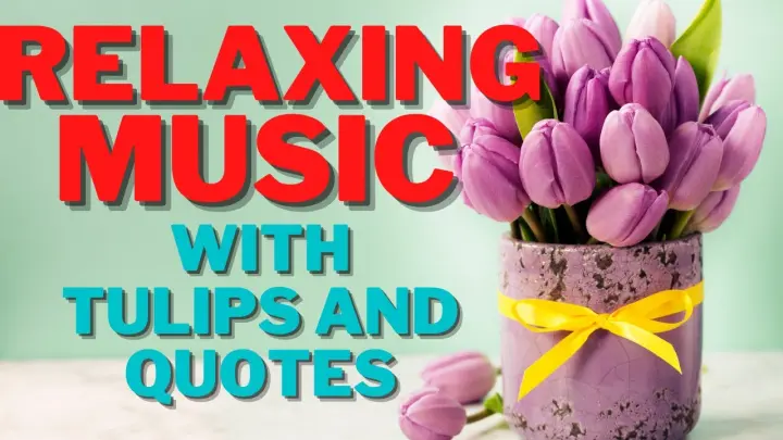 RELAXING MUSIC WITH TULIPS AND QUOTES