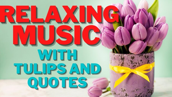 RELAXING MUSIC WITH TULIPS AND QUOTES