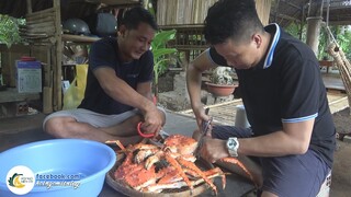 Lần Đầu Chế Biến CUA HOÀNG ĐẾ Khổng Lồ | Hội Ngộ Miền Tây - Tập 365