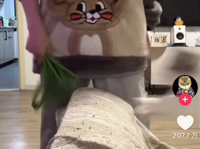 บน TikTok ฝรั่งที่ดูบล็อกเกอร์จีนเล่นกับก้นแมวต่างพากันทำตาม