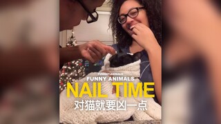 有时候，对猫就要凶一点！