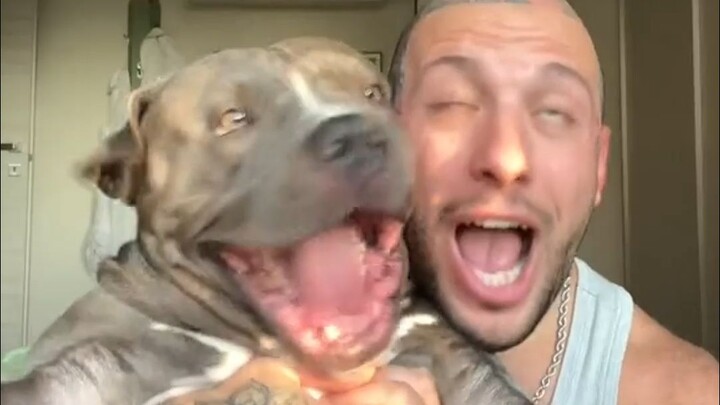 拥有狗界最嚣张名字的恶霸犬