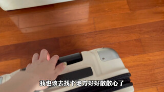 شياو شي ناي الكئيب من ملك الحكمة: لن أقول شيئًا بعد الآن! سأذهب للبحث عن الأخ قاو!!!