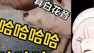 Lolita Jepang tertawa terbahak-bahak setelah menonton "The Lost Time of Animals"! "Anjing, jadilah b