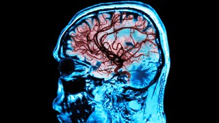 Sebuah keluarga mengonsumsi makan siang yang mencurigakan, dan inilah yang terjadi pada organ mereka