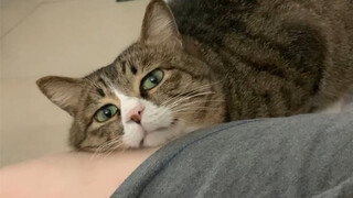 จู่ๆ ก็สะกิดหัวใจฉันได้พอดีเลย