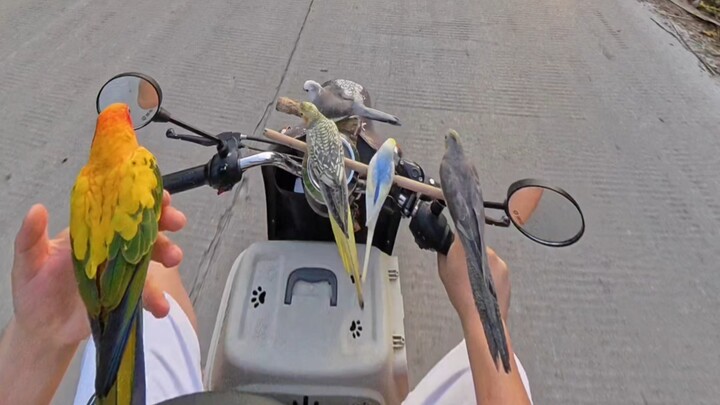 Bermain piring terbang berisiko, jangan ditiru