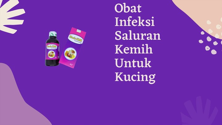BERGARANSI, Obat Infeksi Saluran Kemih Untuk Kucing