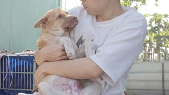 Kakak ipar tidak terlihat seperti orang lokal.