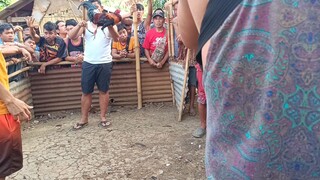 unscratched (tupada)