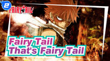 [Fairy Tail] Walk to One's Own Goal--- That's Fairy Tail_2