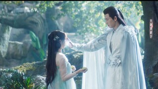 原来她什么都记起来了，包括被他抹掉的那段记忆