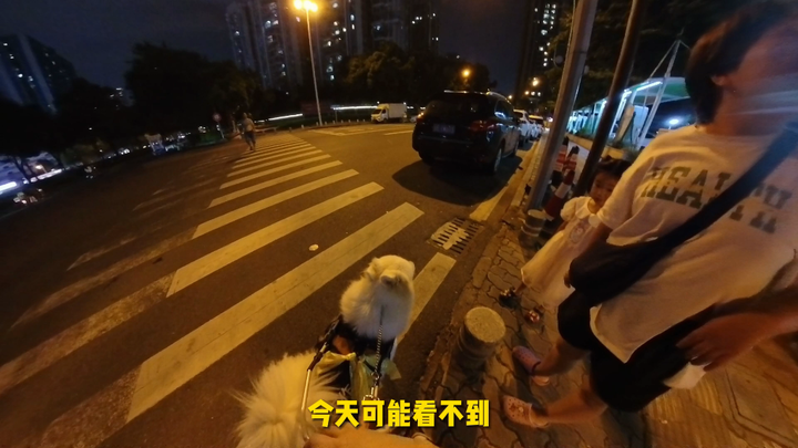 【Nuozi】Trung thu cùng Yuki ra ngoài ngắm trăng, thế nhưng…?