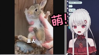 日本辣妹看绫人太太《 奇 怪 的 小 兔 叽 增 加 了 》