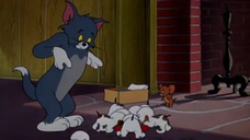 080-Puppy Tale [1954]