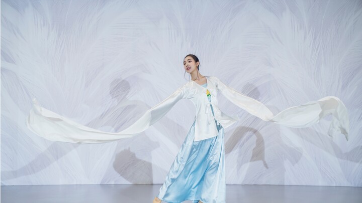 "Sleeves: Butterfly Lovers" Beautiful Classical Water Sleeve Dance｜Wang Bin