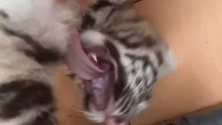 Sayang, gimana kalau kita ganti waktunya untuk menemani ayah?