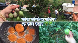 নিজের বাগানের সব্জি দিয়ে মজার রান্না রাঁধলাম // Ms Bangladeshi Vlogs ll