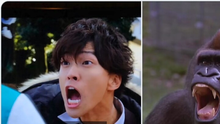 【Subtitles】I am not a gorilla