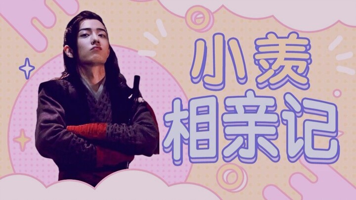 【肖战水仙/时羡/微all羡】小羡相亲记（全一集完）‖沙雕小剧场无虐‖温柔影X脑补羡＆微染言冲三X羡