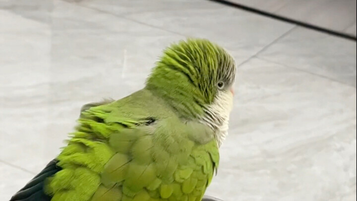 Chúng tôi đã tuyệt giao rồi, hắn là một thằng tồi.