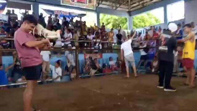 Amu di sultada ~ BAAO