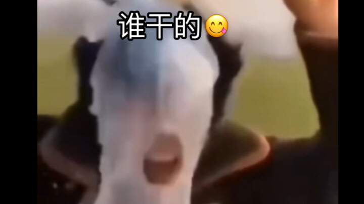 Still the old movie is strong