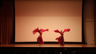 Northwestern University's Typhoon Dance Club's 2023 Spring Special Performance "Qingping Diao"