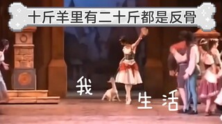 【芭蕾】【莫斯科大剧院】艾斯米拉达那全是反骨的小羊，又名让小动物配合现场演出着实有难度