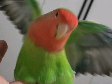 Give me a hard time!!!