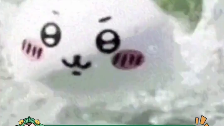 Insiden Popcorn di Pemakaman 2024: Permintaan Aneh Netizen dan Respons Humor dari Keluarga Almarhum