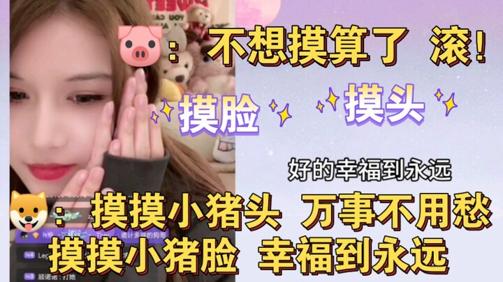 【Bai Li Tiao Yi】Zhu: “Nggak mau ngelus lagi, pergi sana!” | Bai: “Ngelus aja, aku lagi ngelus!” | Ng