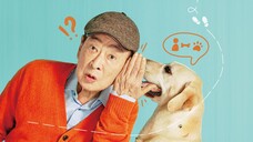 (END) Dog Knows Everything Ep 12 Subtitle Indonesia