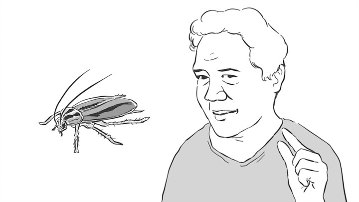 How scary are cockroaches in the south?
