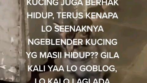 ru orng punya masalah apa sih jir sampek tega ngeblender kucing