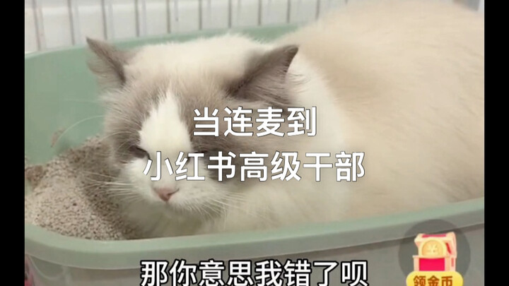 Full of action from start to finish! I got connected via voice call to a senior executive at Xiaohon