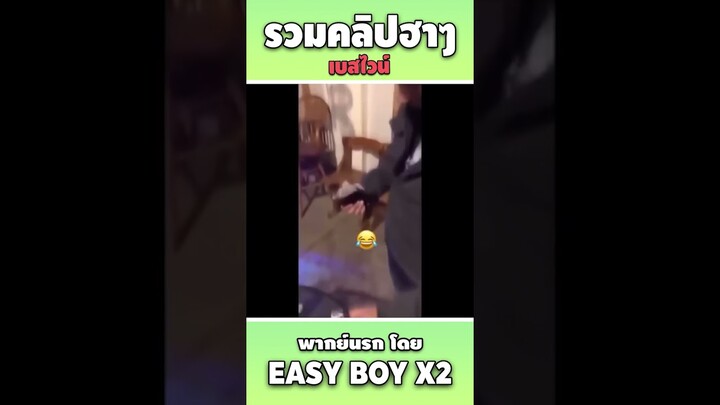 รวมคลิปฮา พากย์นรก #short #easyboy #คลิปฮา #เบสไวน์