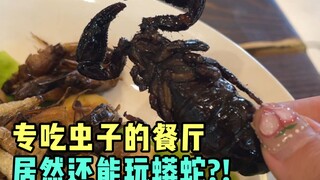 A restaurant where pythons and lizards crawl on each other and eat insects! ???