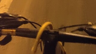 这卢浮宫不去也罢