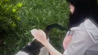 พุ่งทะยานขึ้นทันทีเลยนะ