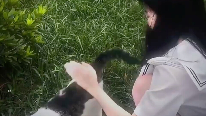 It's instantly elevated to a higher level!