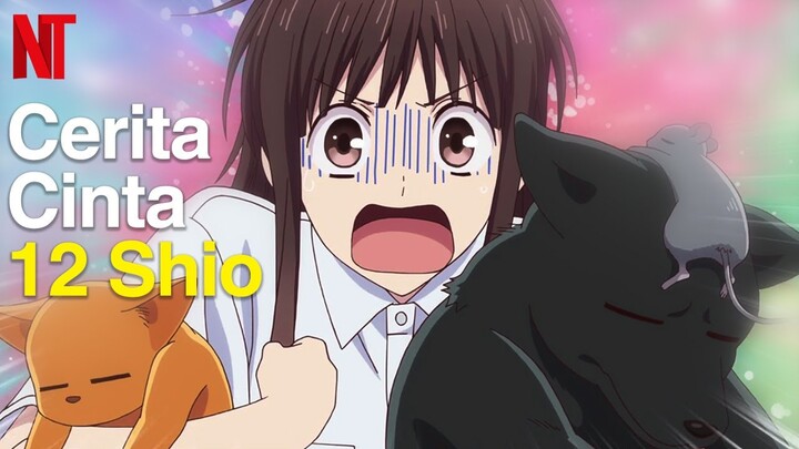 Review Fruits Basket