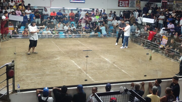 Gilmore hatch (patibayan ng manok)