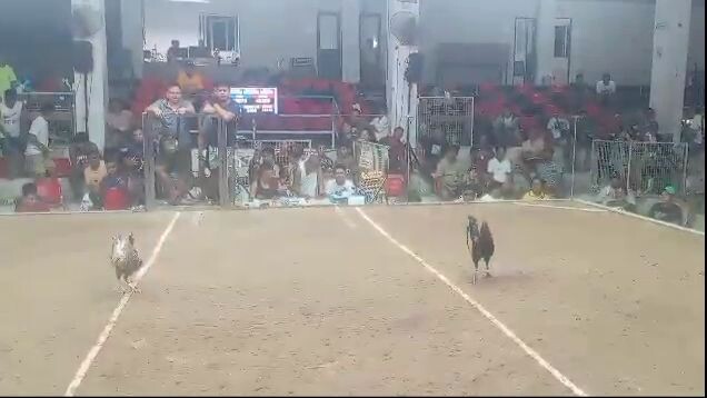 Butcher X Hatch | 2 Hits Ulutan sa Mangaldan | First Fight (Win)