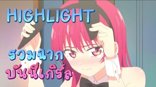 Highlight! รวมฉากบันนี่เกิร์ล