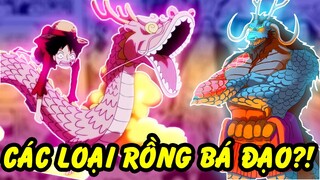 Những Con Rồng Bá Đạo Từng Xuất Hiện Trong One Piece