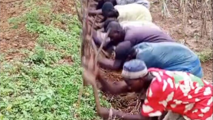 Introduction to Traditional Group Farming Culture in Africa